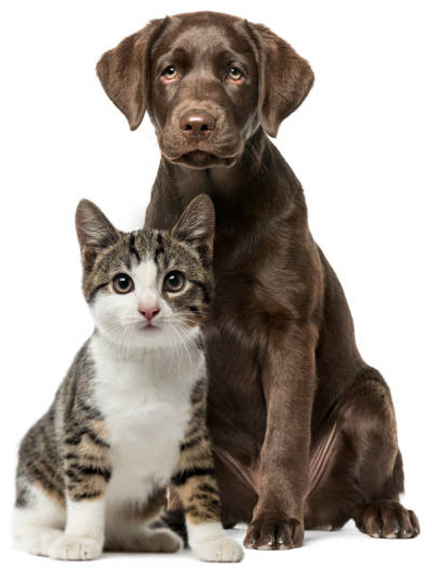 Natural Pet Food for all pets